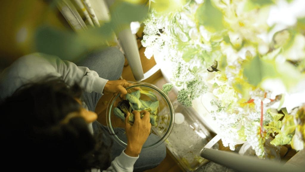 A woman sits on the floor, engrossed in plants. This image represents the Butte Food Co-op's commitment to a sustainable food system.